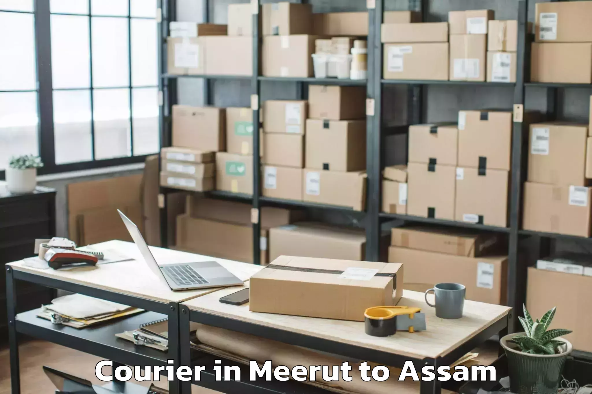 Affordable Meerut to Srimanta Sankaradeva Universit Courier